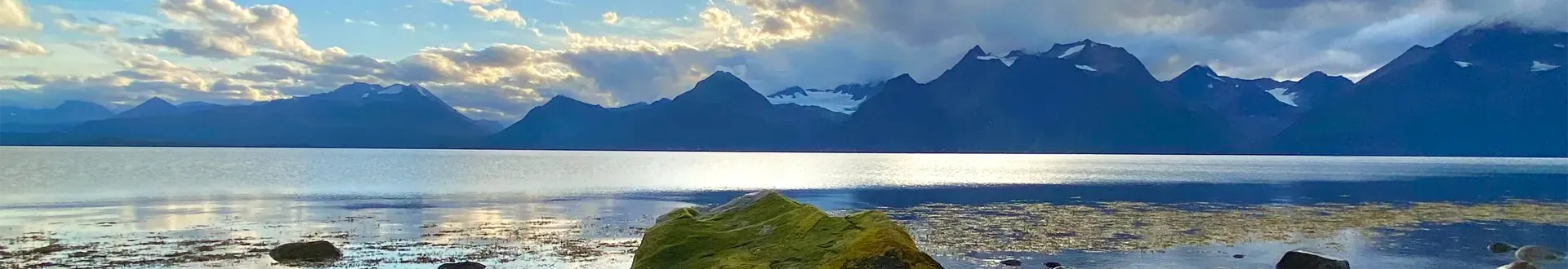 Bli kjent med Lyngenfjord Panorama Camping