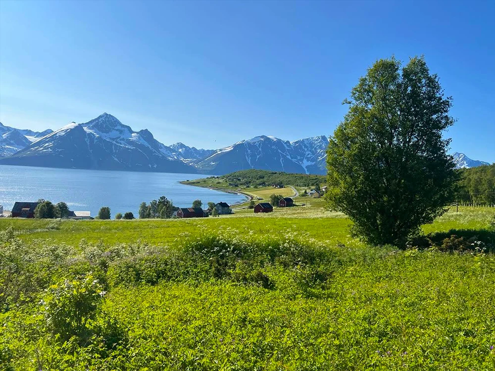 Opplev vakker natur og utsikt hos Lyngenfjord Panorama Camping