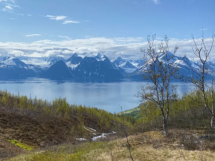 Dalberget